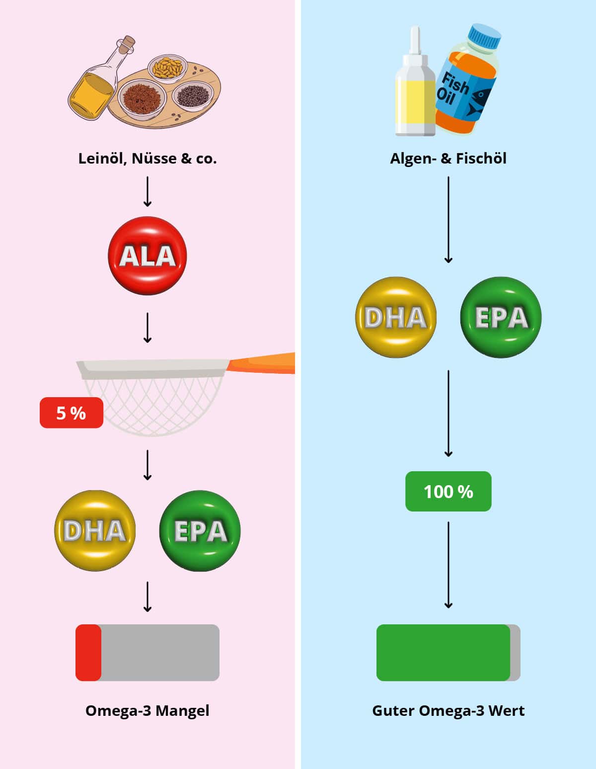 Während z.B. Nüsse oder Leinsamen Alpha-Linolensäure liefern, kommen die wichtigen Omega-3-Fettsäuren aus Fisch oder Algen.