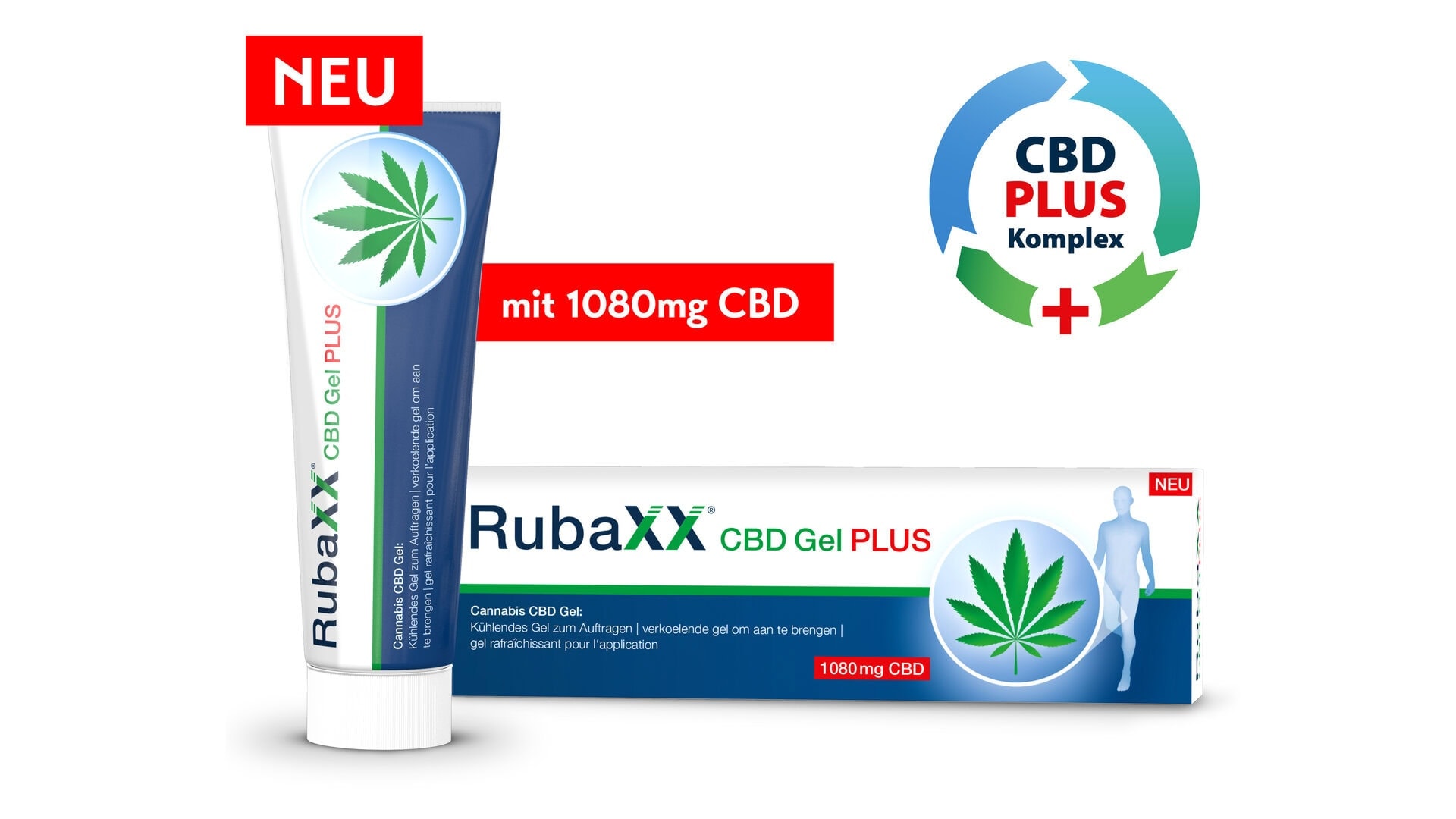 251211 Rbcgp De Adv V001 Phw2